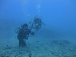 Hawaii Scuba divng 42