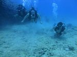 Hawaii Scuba divng 35