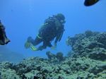 Hawaii Scuba divng 58