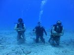 Hawaii Scuba divng 48