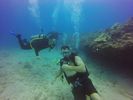 Hawaii Scuba divng 96