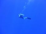 Hawaii Scuba divng 46