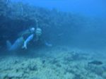 Hawaii Scuba divng 83
