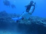 Hawaii Scuba divng 94