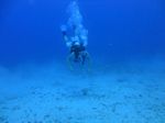 Hawaii Scuba divng 23