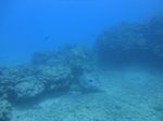 Hawaii Scuba divng 51