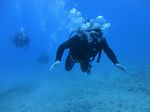 Hawaii Scuba divng 61