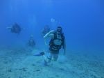Hawaii Scuba divng 51