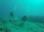Hawaii Scuba divng 85