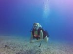 Hawaii Scuba divng 60
