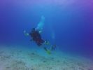 Hawaii Scuba divng 76