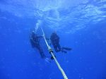 Hawaii Scuba divng 33