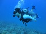 Hawaii Scuba divng 39
