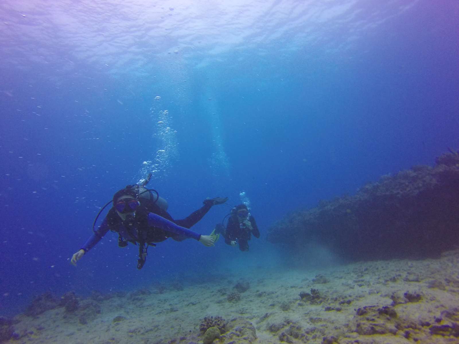 Hawaii Scuba Diving - 08-23-2016