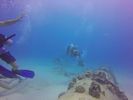 Hawaii Scuba divng 49