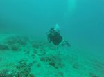 Hawaii Scuba divng 13