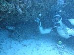 Hawaii Scuba divng 64