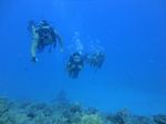 Hawaii Scuba divng 65