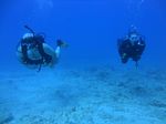 Hawaii Scuba divng 47