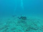 Hawaii Scuba divng 18