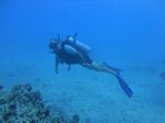 Hawaii Scuba divng 65