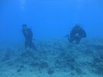 Hawaii Scuba divng 71