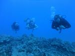 Hawaii Scuba divng 79