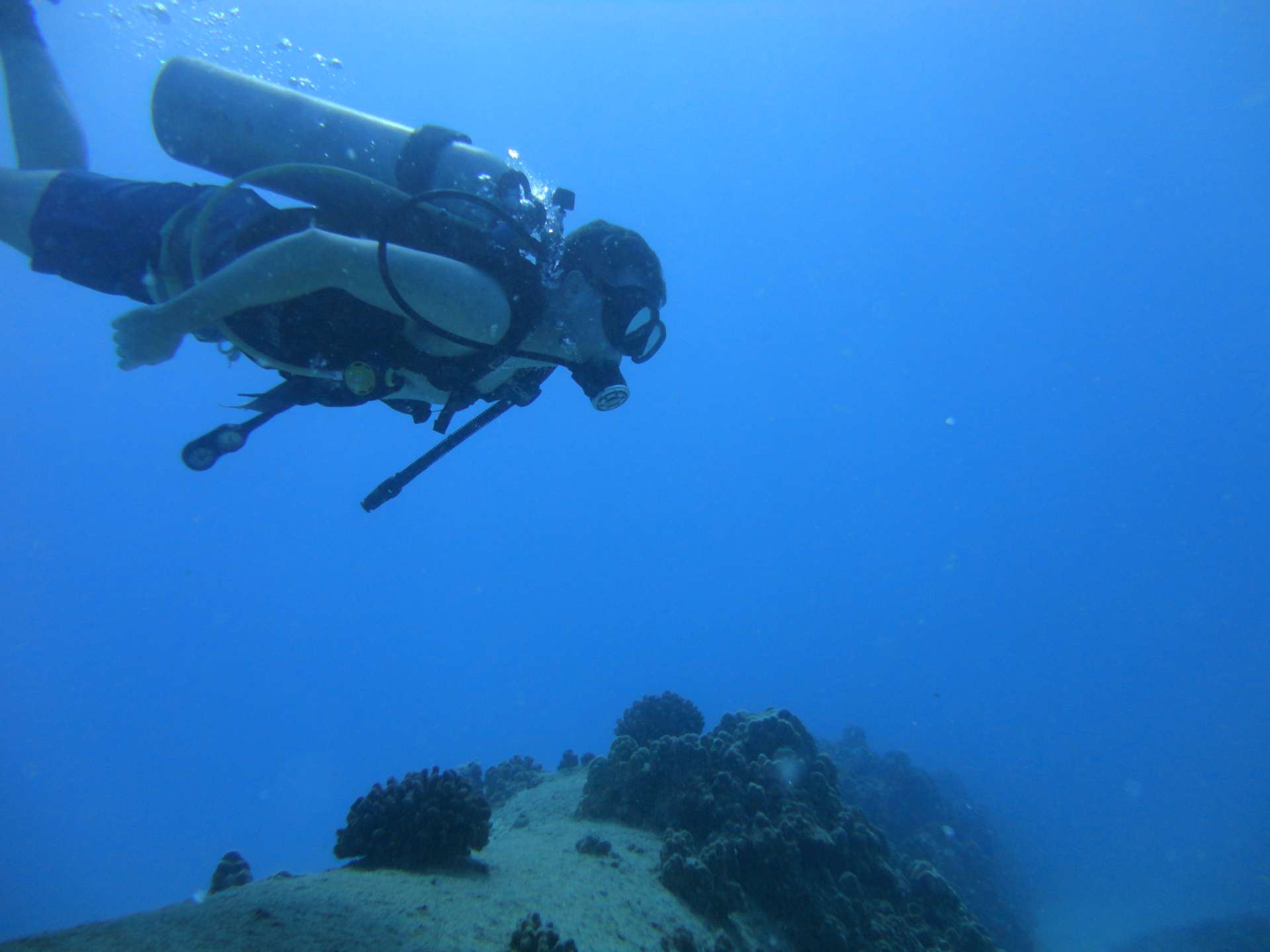 Secrets To Exceptional Oahu Beginner Scuba Diving