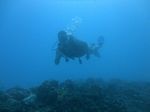 Hawaii Scuba divng 32