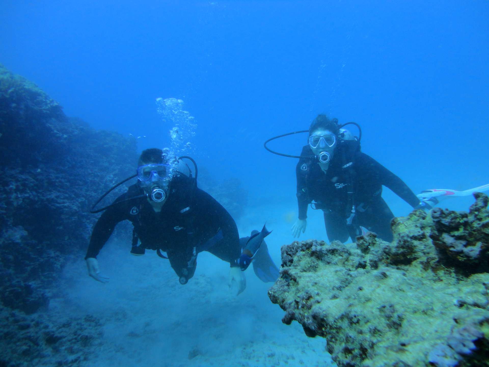 Tourists Investigate Mysterious Honolulu Shipwreck Secrets