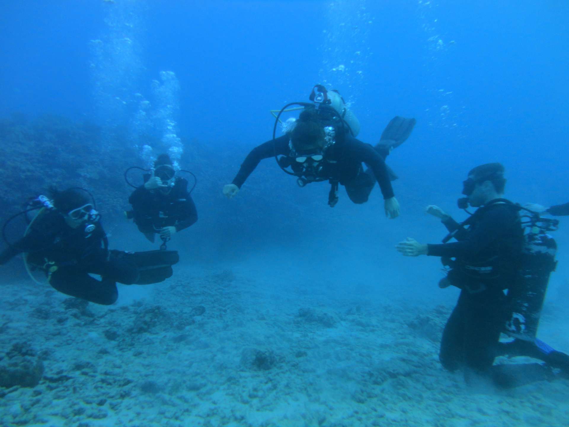 International Day for Scuba Diving In Hawaii.