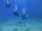 Hawaii Scuba divng 77