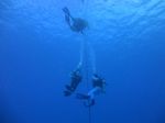 Hawaii Scuba divng 31