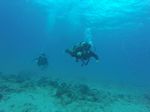 Hawaii Scuba divng 19