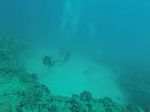 Hawaii Scuba divng 17