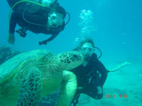 Hawaii scuba diving reviews