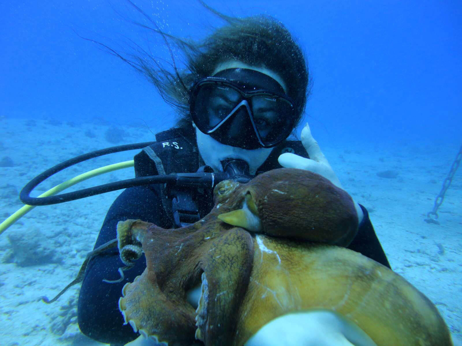 Honolulu Scuba Diving