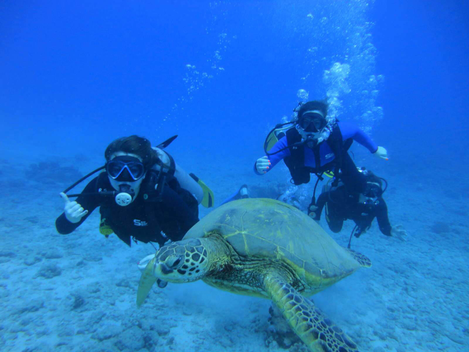 dive tours hawaii