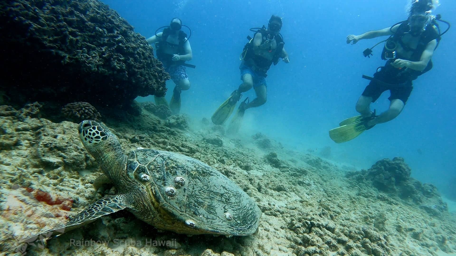 scuba diving honolulu 09-10-2021