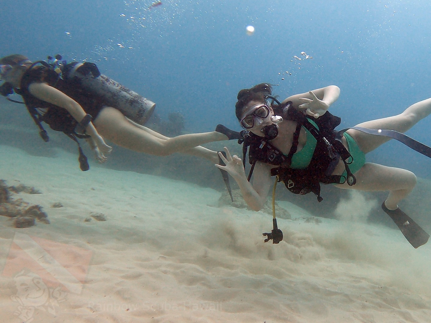 Honolulu Underwater Beginner Guide To Scuba Diving 8895