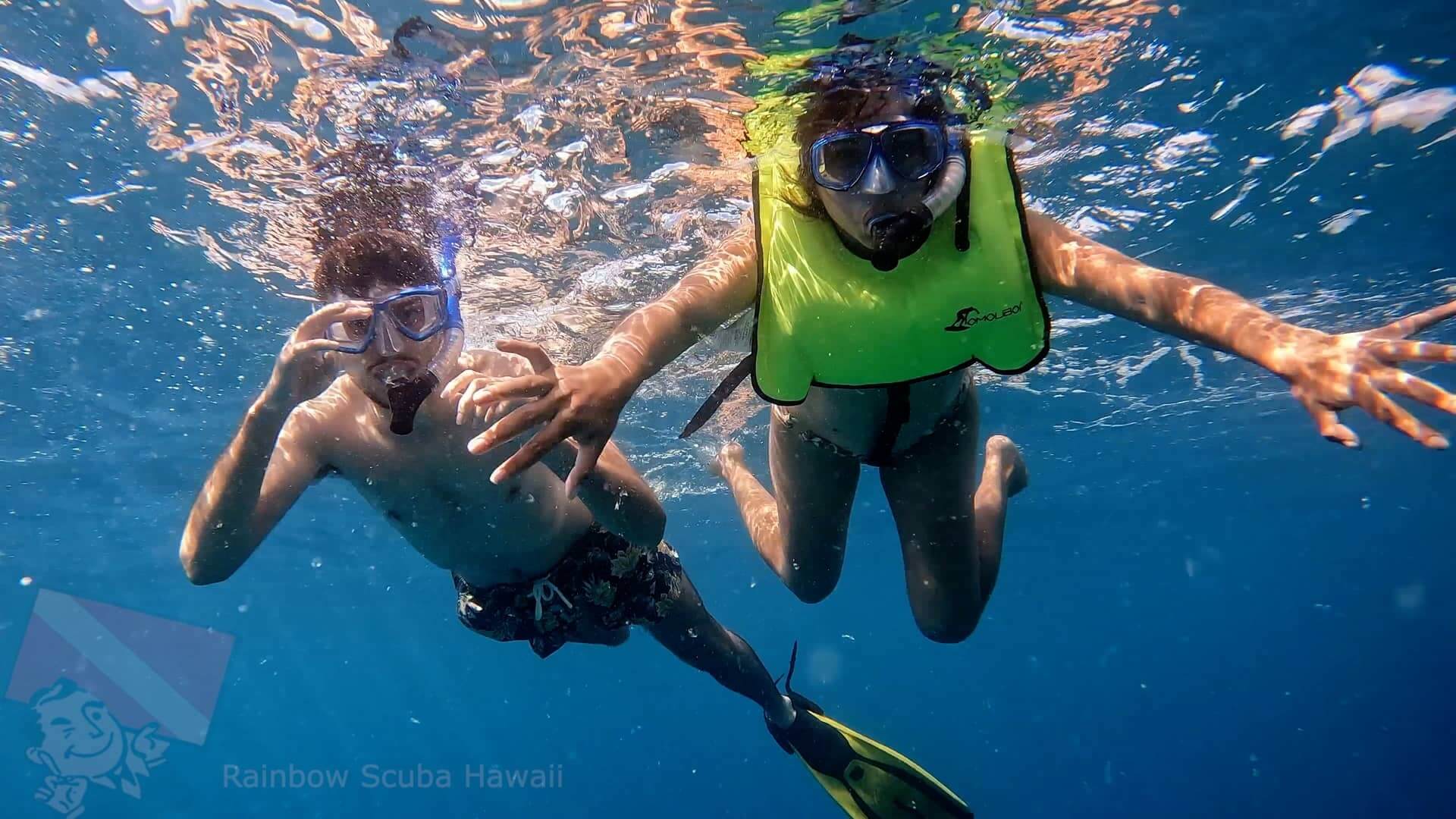 Snorkeling With Turtles